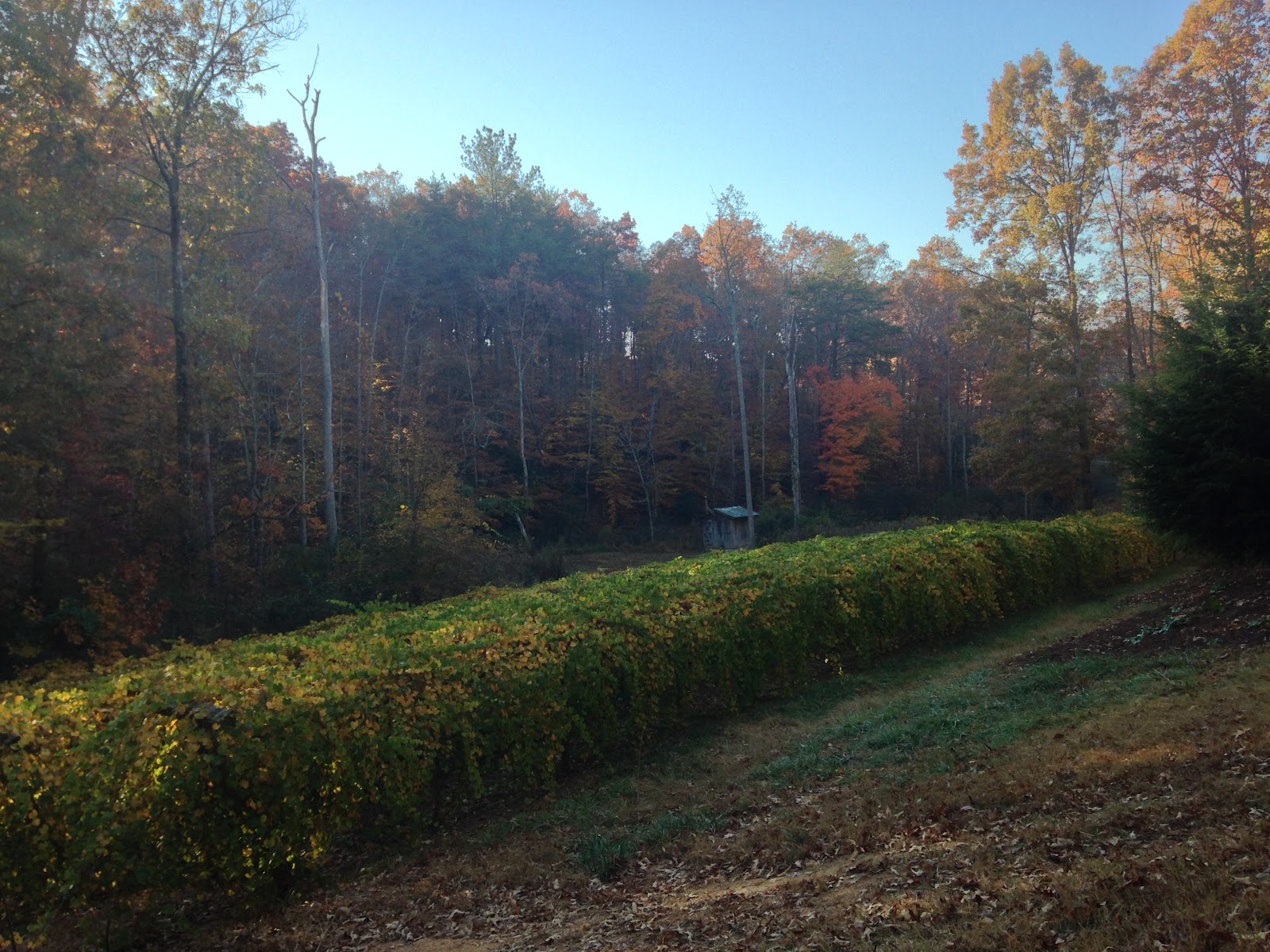 Feathers Edge Vineyards
