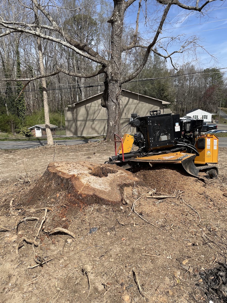 Stump Brothers